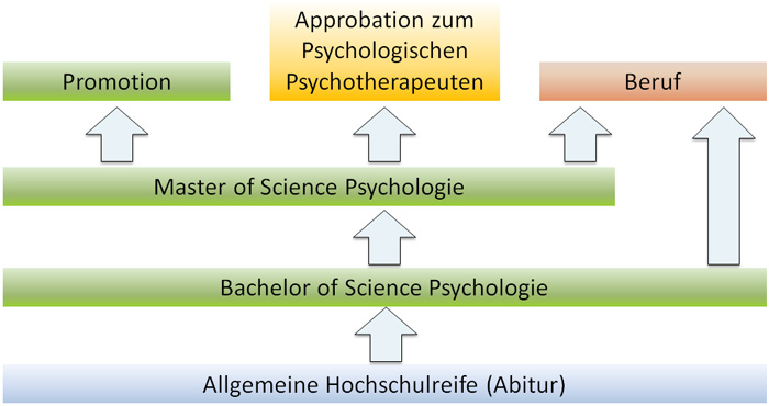 Studium - Fakultät für Human- und Sozialwissenschaften Psychologie - BERGISCHE UNIVERSITÄT WUPPERTAL
